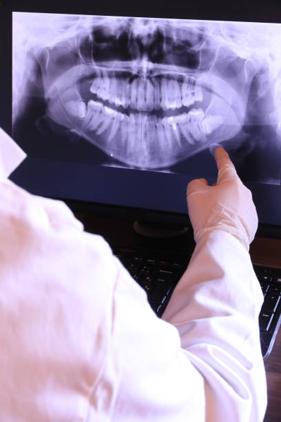Best Emergency X-Rays and Diagnostics in West Hammond, NM