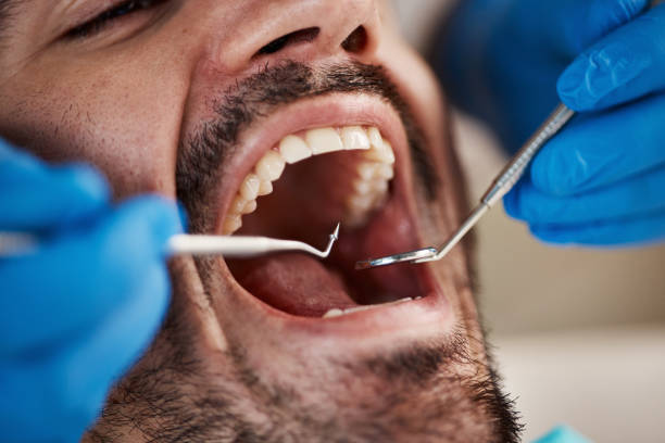 Best Emergency Pediatric Dental Care in West Hammond, NM